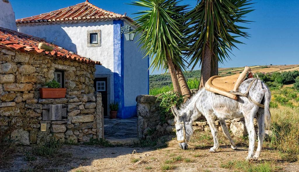 Hotel Aldeia Da Mata Pequena Mafra Zimmer foto